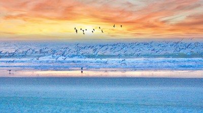 Image by Jamie Garvin from Pixabay